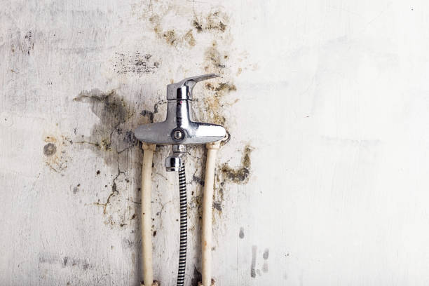 Brownfield, TX Mold Remediation Company