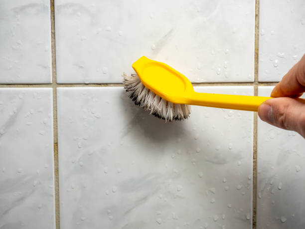 Best Preventive Mold Services in Brownfield, TX