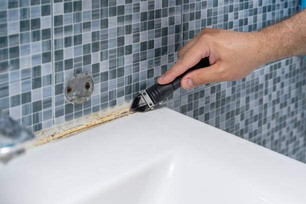 Best Bathroom Mold Remediation in Brownfield, TX